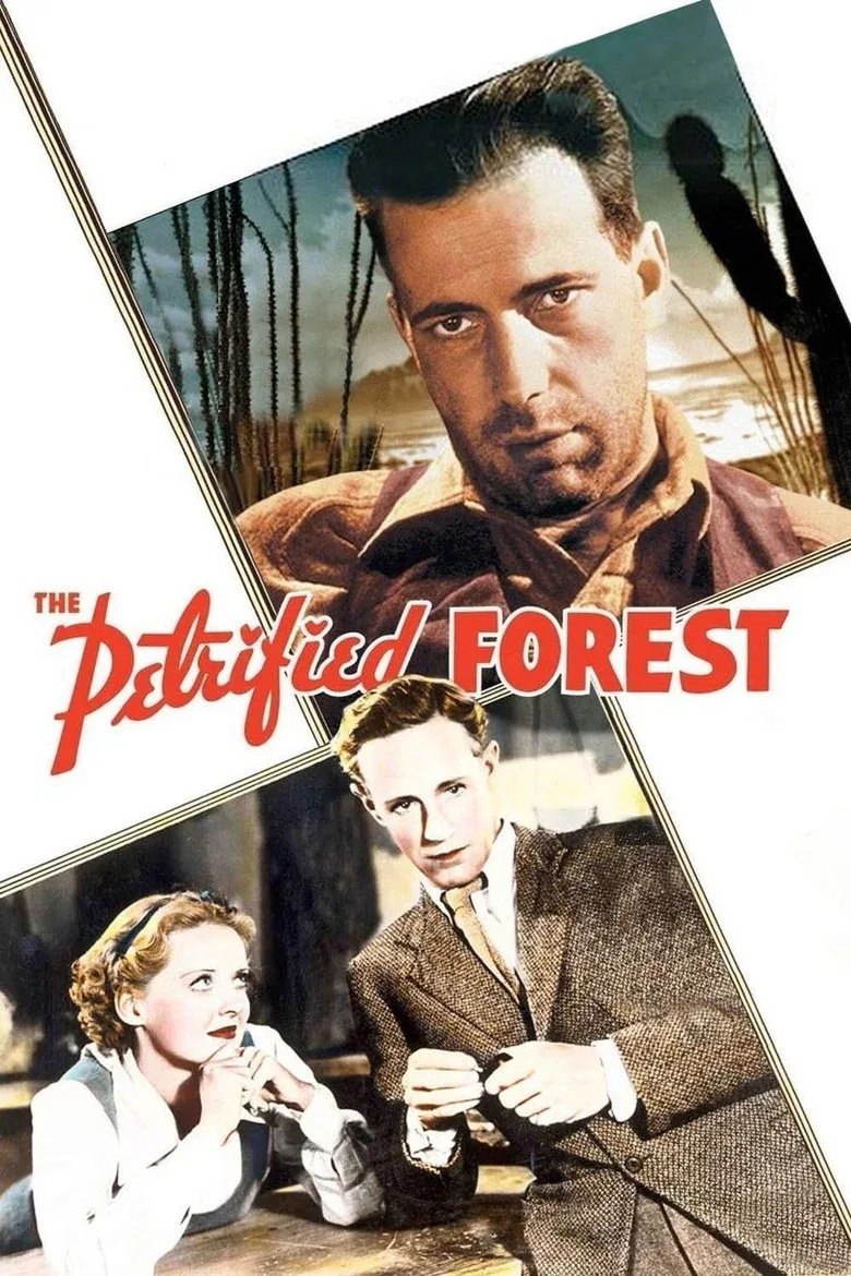 Capa de Floresta Petrificada
